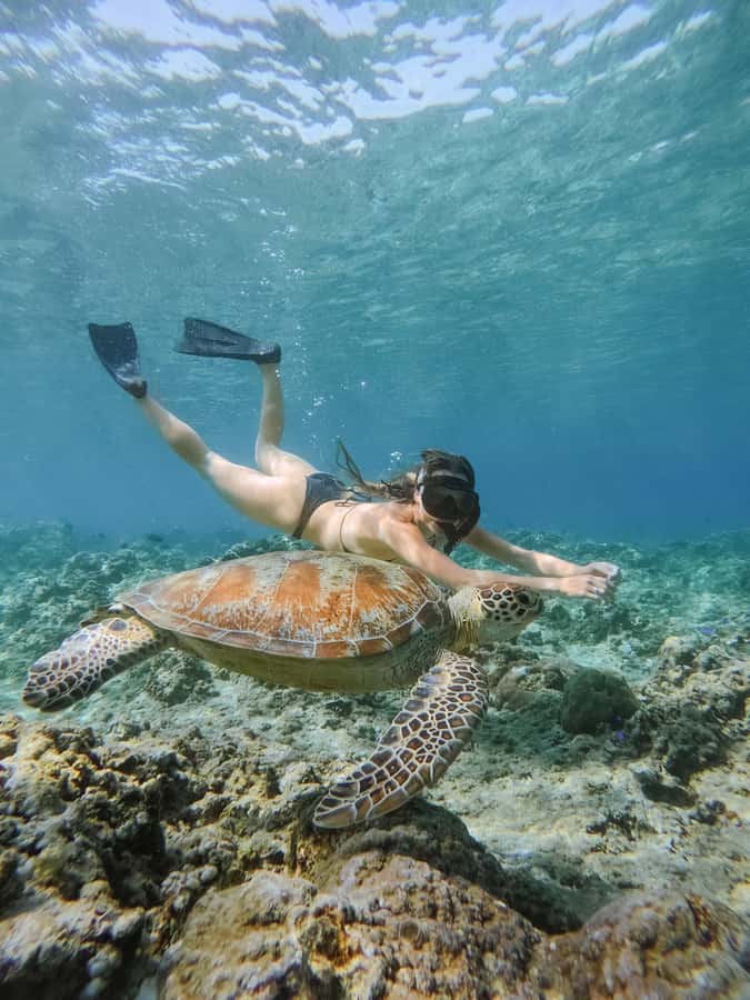 From Lombok: 3 Gili Islands Private Snorkeling Adventure - Gili Meno’s underwater statue, plus the GoPro factor