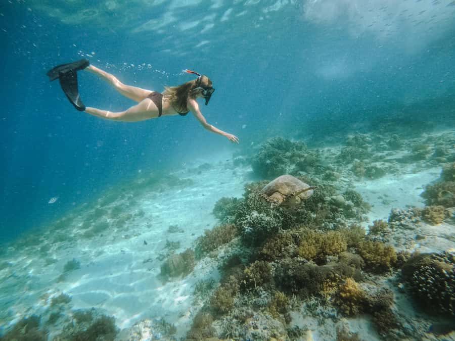 From Lombok: 3 Gili Islands Private Snorkeling Adventure - Turtle Point at Gili Trawangan, then island time and lunch