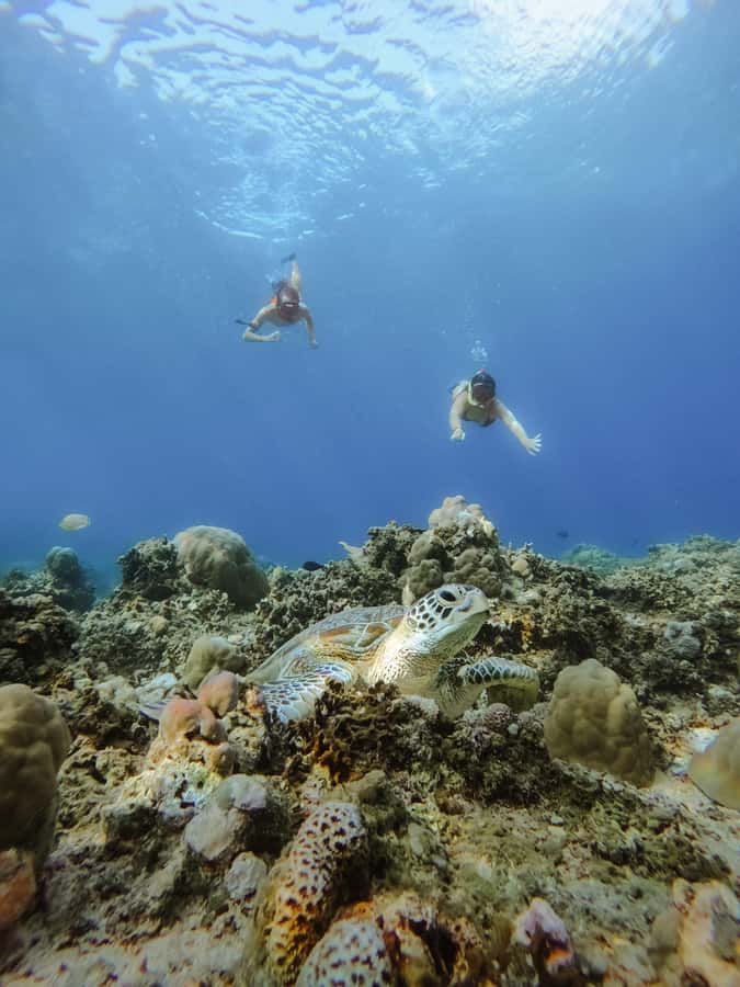 From Lombok: 3 Gili Islands Private Snorkeling Adventure - The boat ride rhythm: easy transport between islands