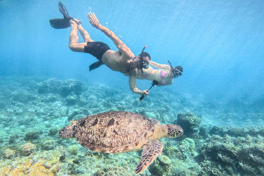 From Lombok: Full-Day Gili Gede, Rengit, & Layar Island Tour - Key things to know before you go
