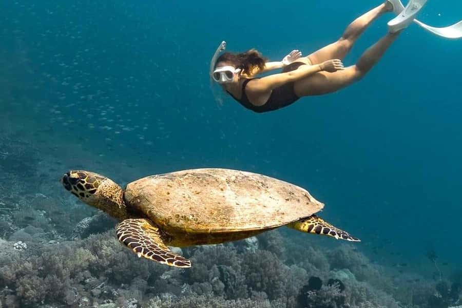 From Lombok: Full-Day Gili Gede, Rengit, & Layar Island Tour - Snorkeling level, guide help, and what “beginner-friendly” really means