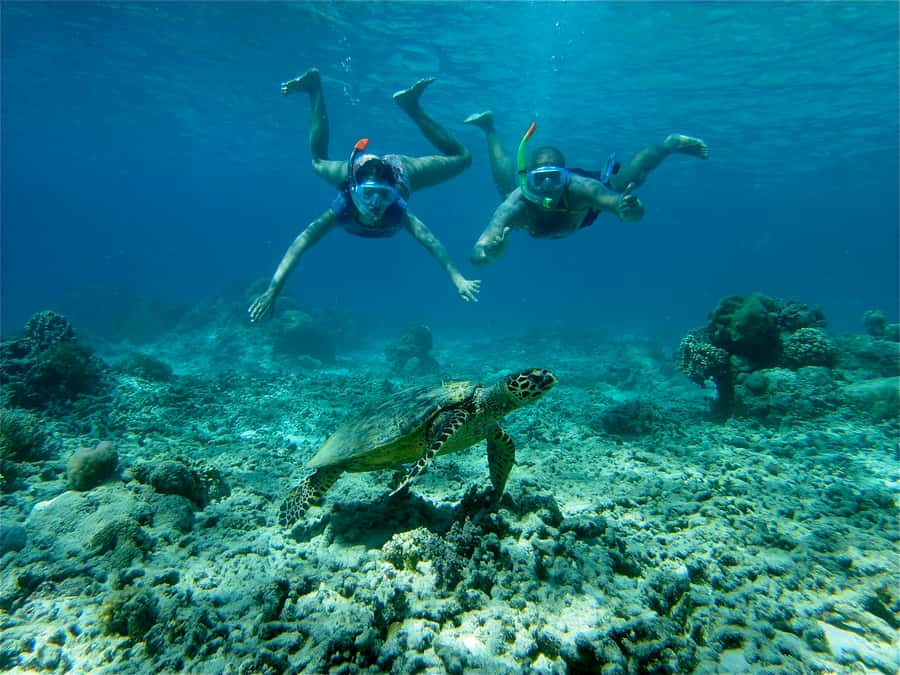 From Lombok: Gili Islands Snorkeling Day Trip - Lombok to the Gilis, in one productive 7-hour block