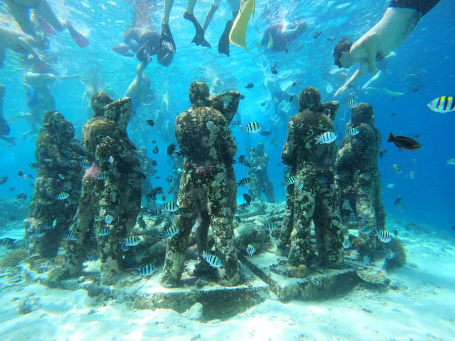 From Lombok: Gili Islands Snorkeling Day Trip - Gili Air snorkeling, longer water time, and fish plus turtle moments