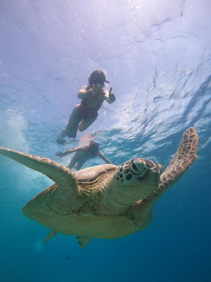 From Lombok: Gili Islands Snorkeling Day Trip - Small timing details that can make or break your day