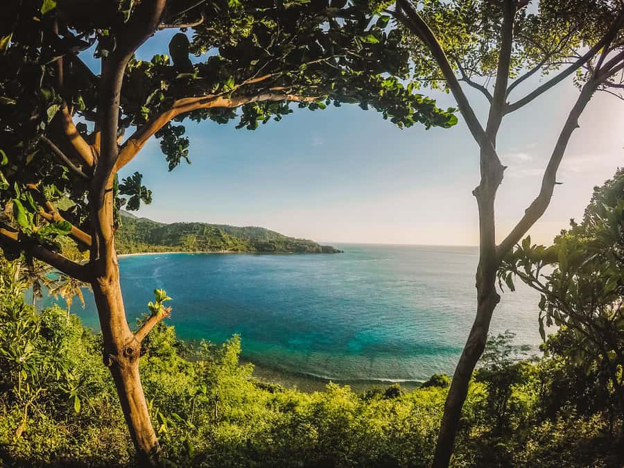 From Lombok: Private Gili Islands Trip w. Glass-Bottom Boat - Price and value: what you are really paying for