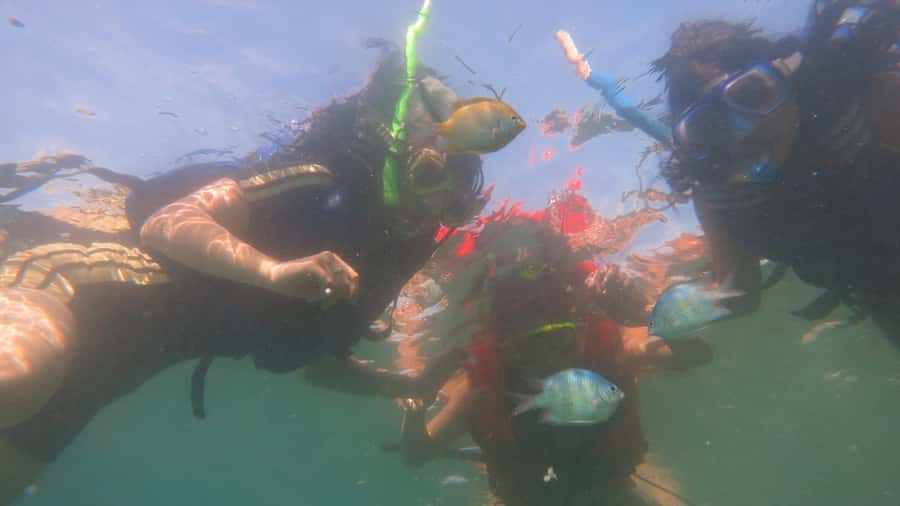 From Lombok: Southern Gilis Private Snorkelling Day Trip - Key highlights worth caring about