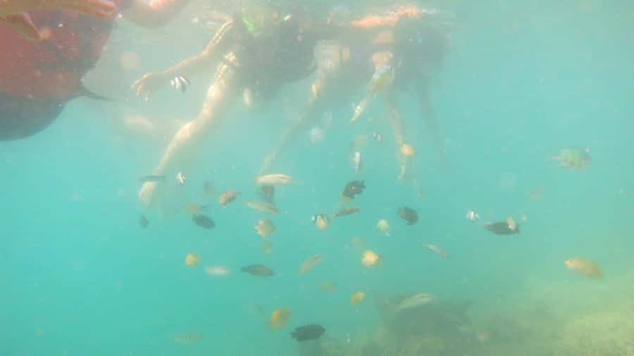 From Lombok: Southern Gilis Private Snorkelling Day Trip - Southwest Gilis Feel Quieter for a Reason