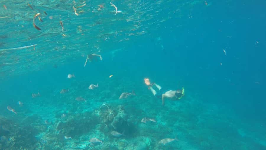 From Lombok: Southern Gilis Private Snorkelling Day Trip - 8 AM Pickup to Taun Harbor, Plus Banyumulek Pottery Village