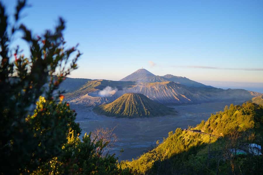 From Malang: 1-Day Mount Bromo Shared Trip - Who this Bromo shared trip suits best