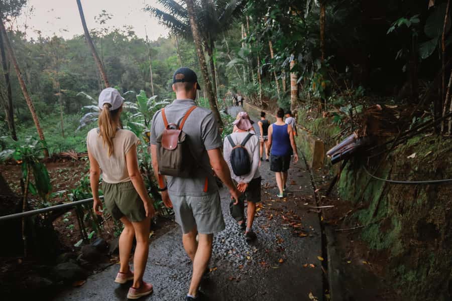 From Malang or Surabaya: Tumpak Sewu Waterfall Group Tour - Photo stops and pacing, including what happens if it rains