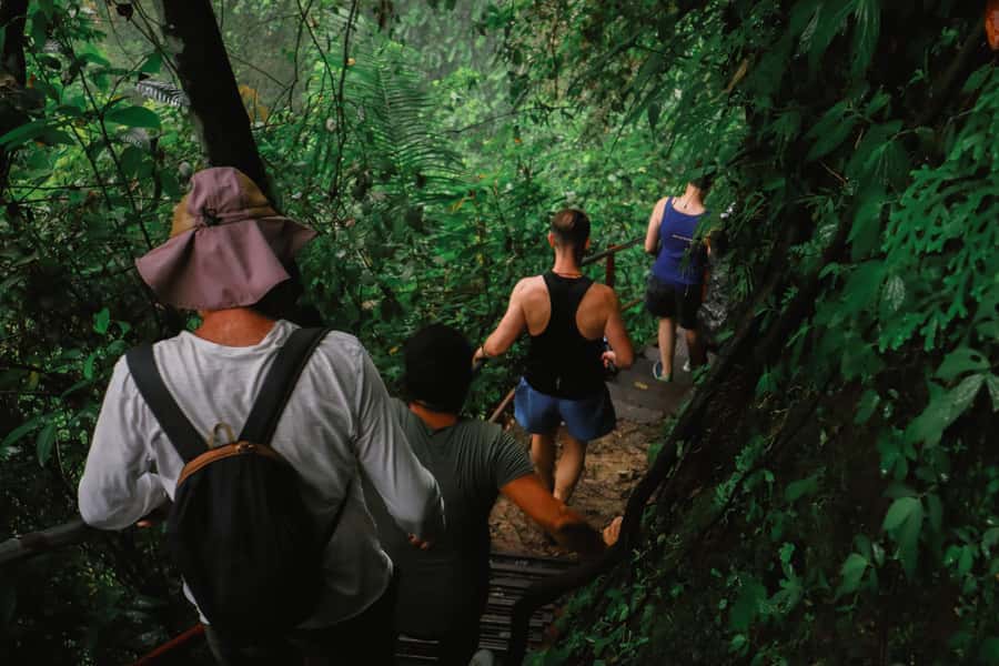 From Malang or Surabaya: Tumpak Sewu Waterfall Group Tour - Who should book this tour, and who might skip it