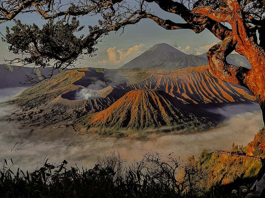 From Malang: Shared Mount Bromo & Ijen Tours Start - 2D1N - Key things that make this Bromo and Ijen combo worth it