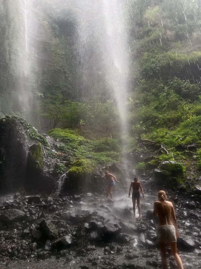 From Malang / Surabaya: Madakaripura Waterfall Guided Tour - Madakaripura Waterfall: A Java Waterfall That Feels Like a Canyon