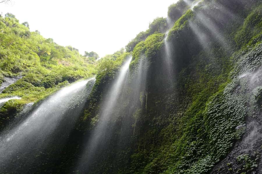 From Malang / Surabaya: Madakaripura Waterfall Guided Tour - The Best Part: Standing at the Base and Seeing the Cliffs Up Close
