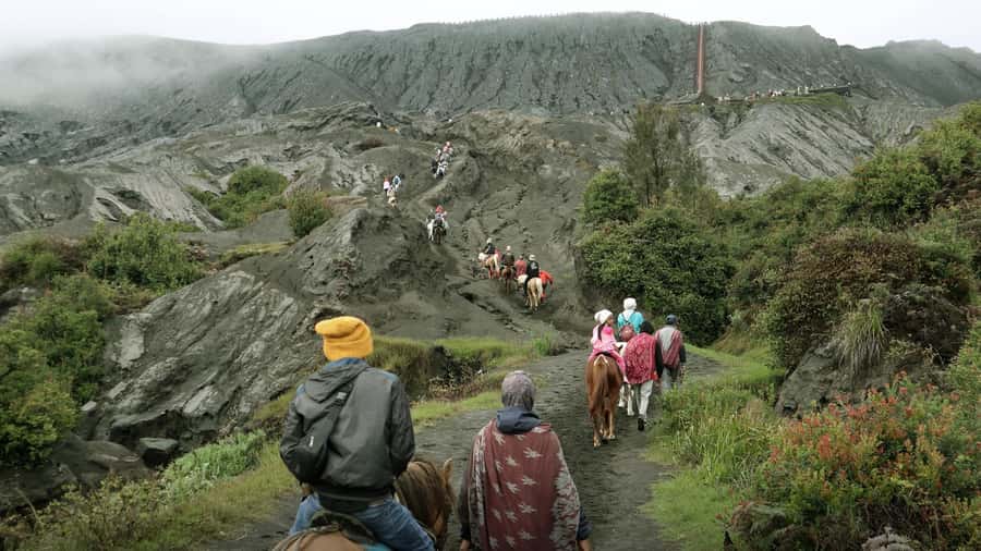 From Malang/Surabaya: Mount Bromo Sunrise Ultimate (Shared) - SMARTWAY guide experience: WhatsApp, basic English, and real-world help