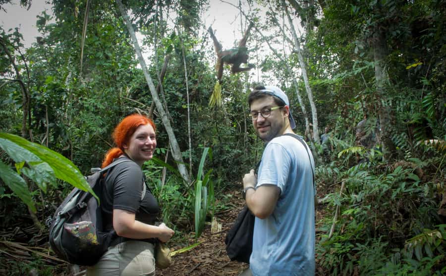 From Medan: Mount Leuser National Park Orang Utan Trip - Should you book this Medan to Bukit Lawang orangutan day?