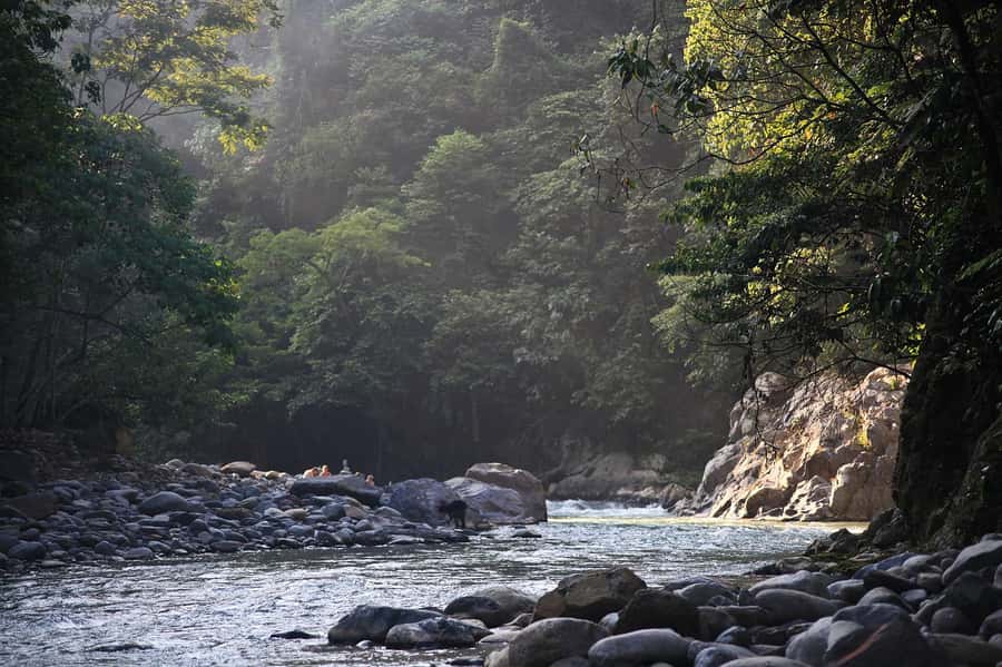 From Medan: Mount Leuser National Park Orang Utan Trip - Orangutan Care Center: close-up rehab, lunch, and respect for the rules
