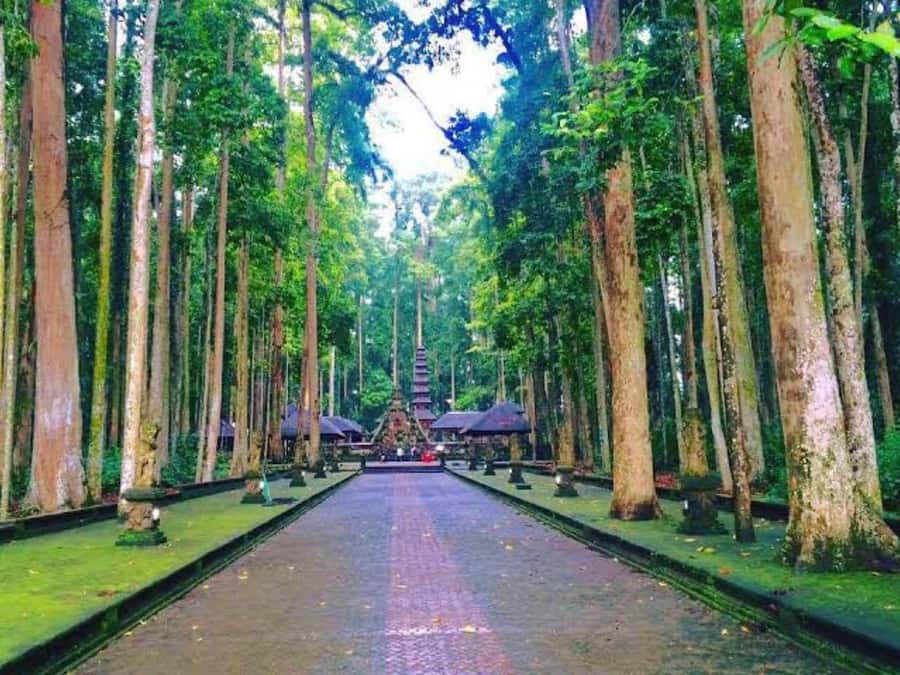 From north bali :Tanah Lot, sangeh forest & Ulun Danu Temple - Handara Gate: the most photogenic entrance on the route