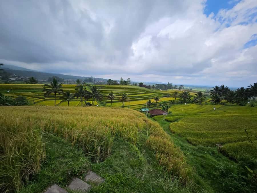 From north bali :Tanah Lot, sangeh forest & Ulun Danu Temple - Price and logistics: is $33 per person worth it?