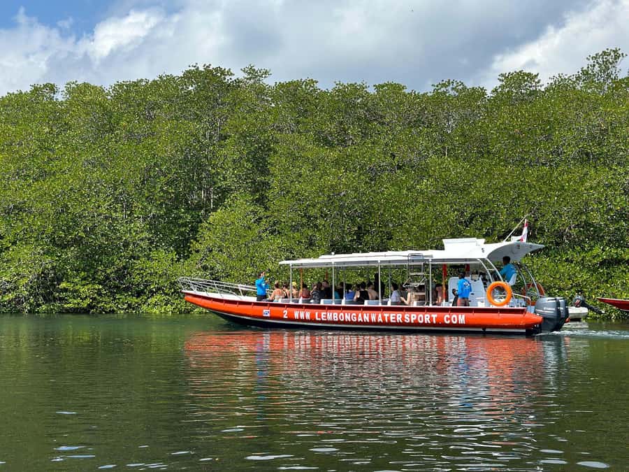 From Nusa Penida: 3 Spots Snorkeling Tour with Manta Rays - Who should book this tour, and who should skip it