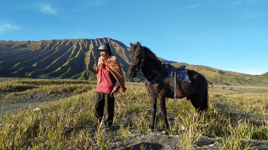 From Probolinggo: Mount Bromo Sunset Tour by Land Cruiser - Who should book, and who should skip