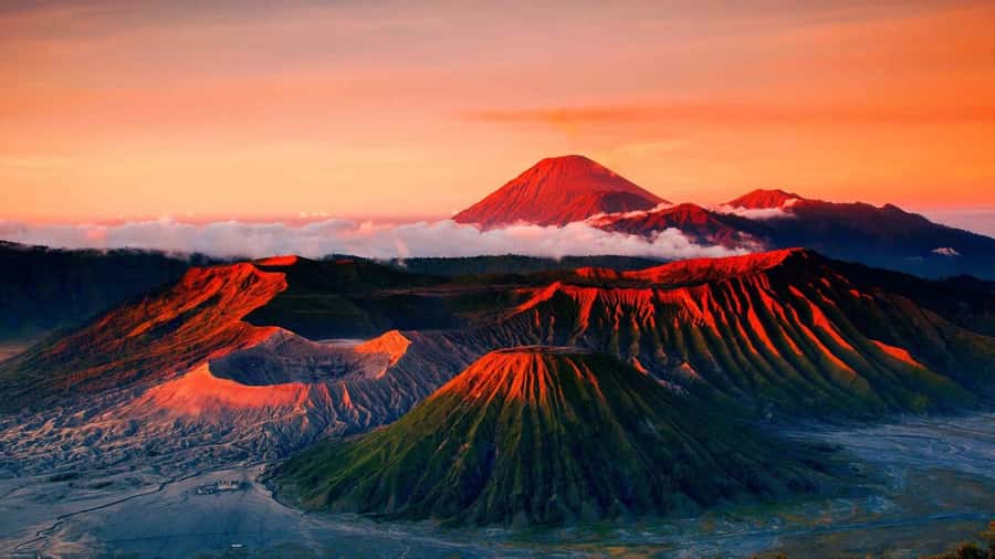 From Probolinggo: Mount Bromo Sunset Tour by Land Cruiser - From Probolinggo to Cemorolawang: the 4x4 ride and timing