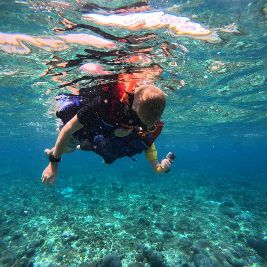 From Sanur : Snorkeling and Land Excursion at Nusa Penida - Price and value: why $104 can make sense for this day plan