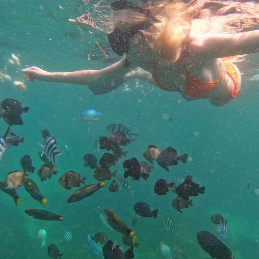 From Sanur : Snorkeling and Land Excursion at Nusa Penida - Manta Bay snorkeling: how to make your 30 minutes count