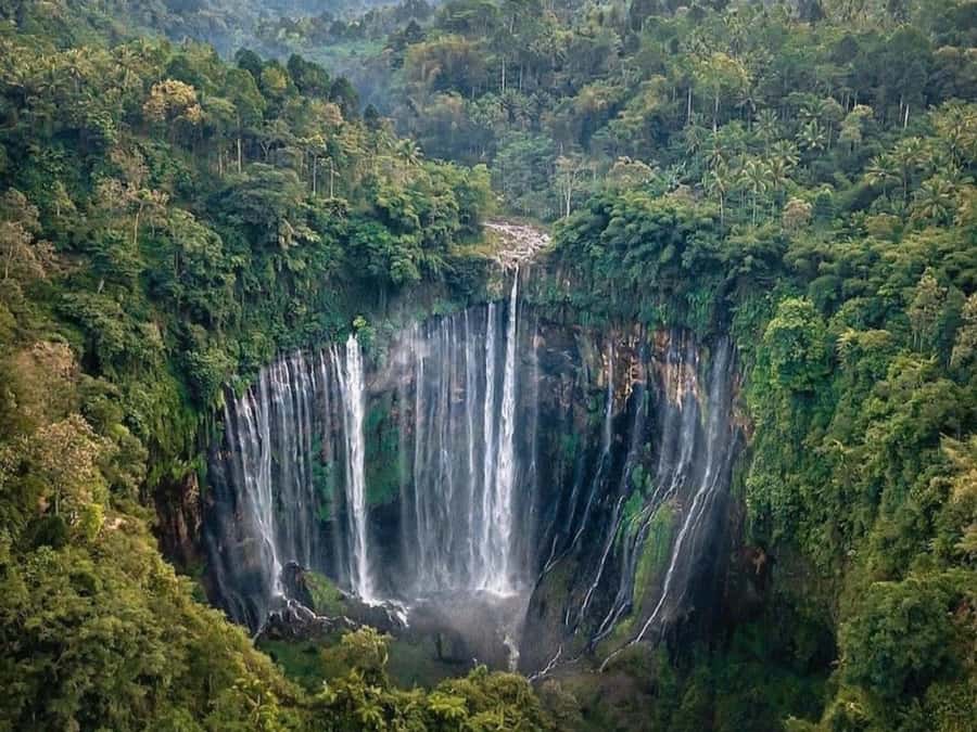 From Surabaya/Malang : Bromo, Ijen, Tumpaksewu in 3 days - From Surabaya or Malang to East Java’s big landscapes, without the stress