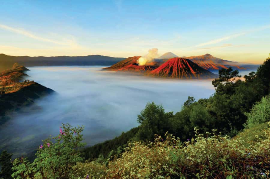 From Surabaya: Mt. Bromo Sunrise Private Trip - Sea of Sand and the 30-Minute Climb to the Bromo Crater