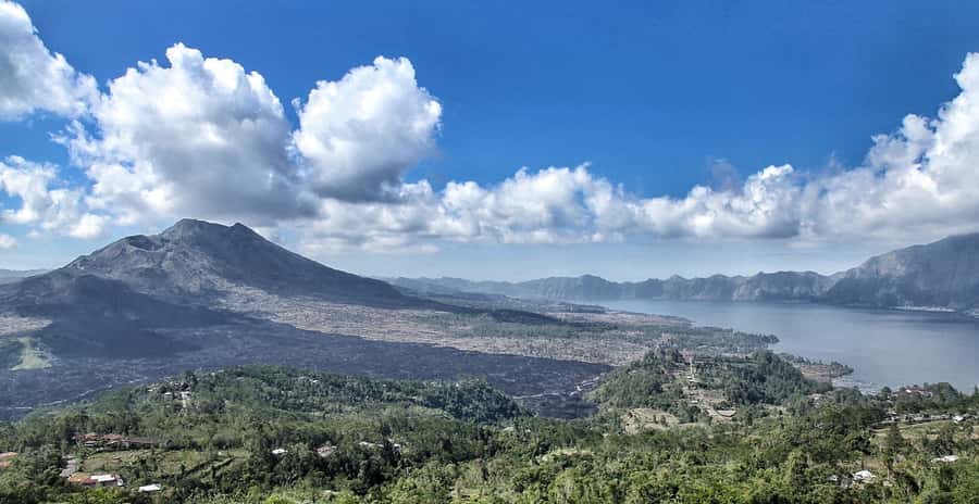 From Ubud: Downhill Bike Tour with Rice Terraces and Meal - Key things that make this tour worth your time