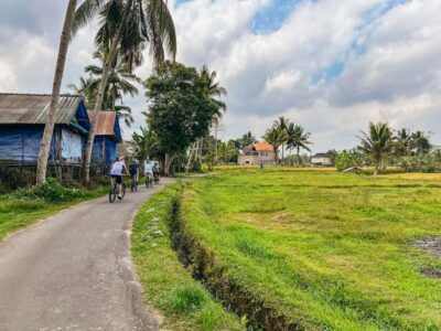 Downhill Bike Tour with Rice Terraces and Meal