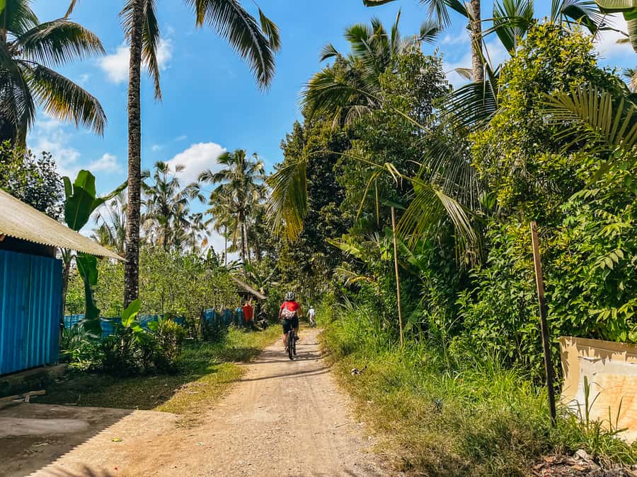 From Ubud: Downhill Bike Tour with Rice Terraces and Meal - Value check: does $40 get you a real experience?