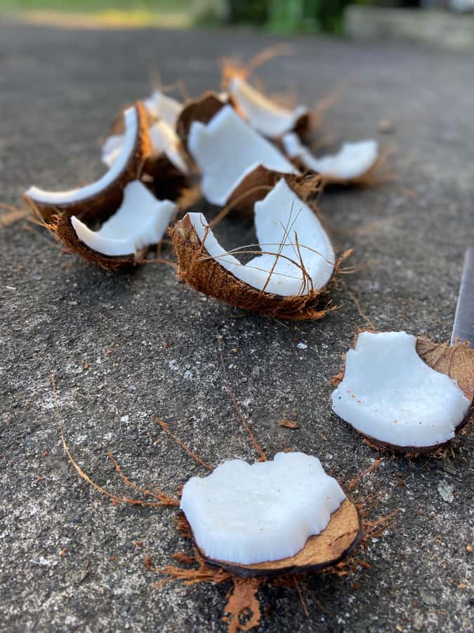 From Ubud: Traditional Bali Coconut Oil Class - Who this experience is best for, and who should pass