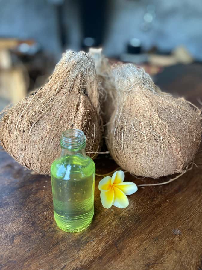 From Ubud: Traditional Bali Coconut Oil Class - Enter the hosts home: family vibes, garden pets, and real daily life