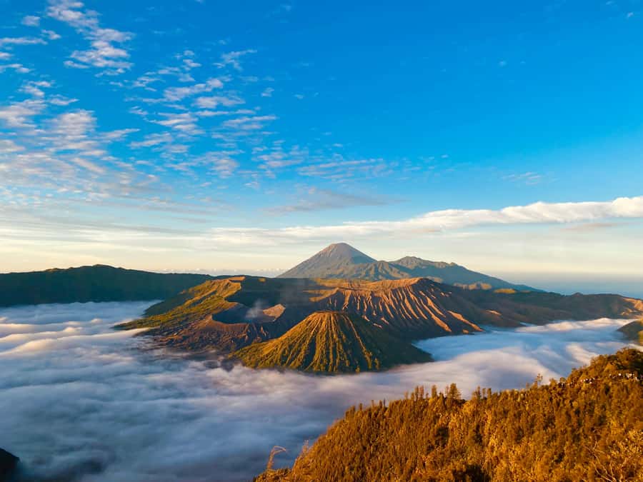 From Yogyakarta : 3Days Bromo-Ijen Vulcano drop Bali Hotel - Day 2 at Bromo: Jeep Sunrise, Crater Rim, and the Sand Walk