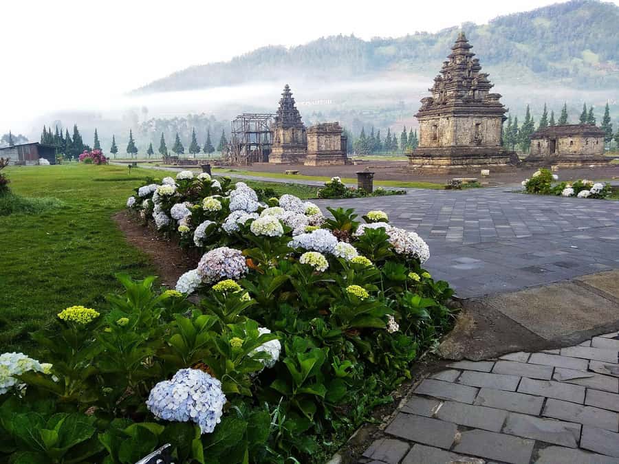from Yogyakarta: Dieng, Dawn's Embrace & Cultural Treasures - What this tour includes, and why that matters for value