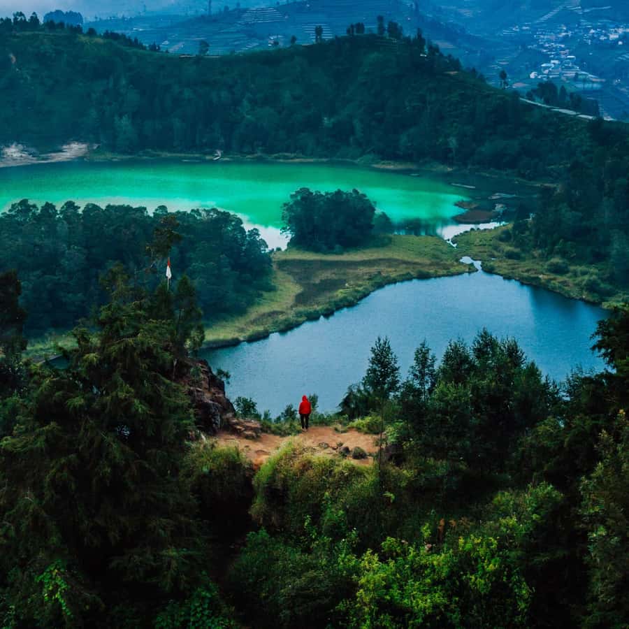 from Yogyakarta: Dieng, Dawn's Embrace & Cultural Treasures - Sikidang Crater: bubbling mud, mists, and the one smell you should prepare for