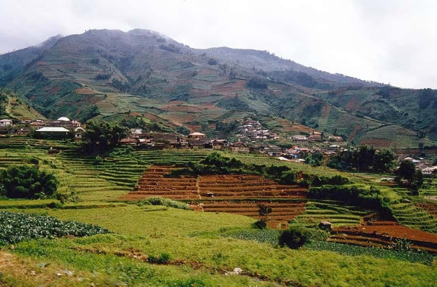 From Yogyakarta : Dieng Plateau Fullday Tour - Getting back to Yogyakarta by 05:30: staying fresh after a full day