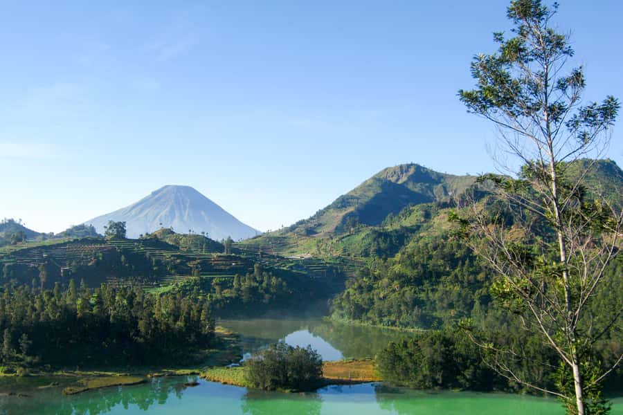 From Yogyakarta: Dieng Plateau Golden Sunrise Guided Trip - Key Things I’d Bet Your Money On