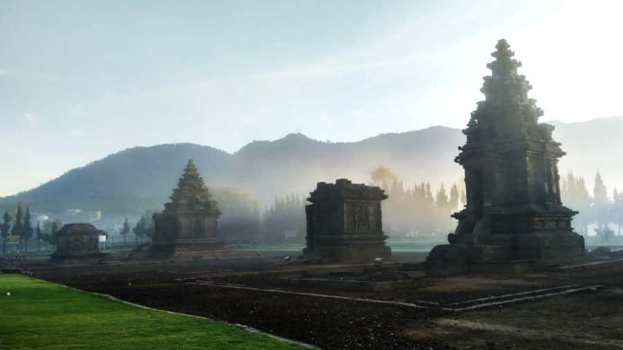 From Yogyakarta: Dieng Tour, Golden Sunrise & Tea Plantation - Sikidang Crater and Batu Pandang: sulfur steam with a side of weird beauty
