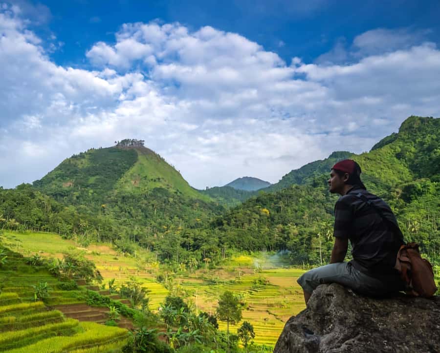 From Yogyakarta: Hidden Waterfall & Selogriyo Rice Terraces - Selogriyo Temple Area and Rice Terraces: Walking in Layers