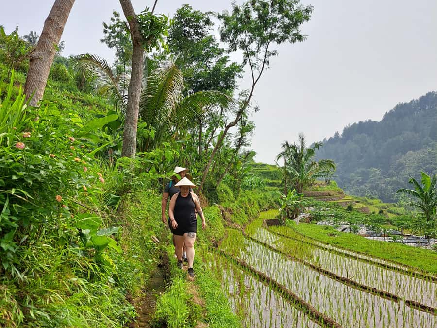 From Yogyakarta: Hidden Waterfall & Selogriyo Rice Terraces - Coffee Break After the Walk: A Small Reset That Adds Value