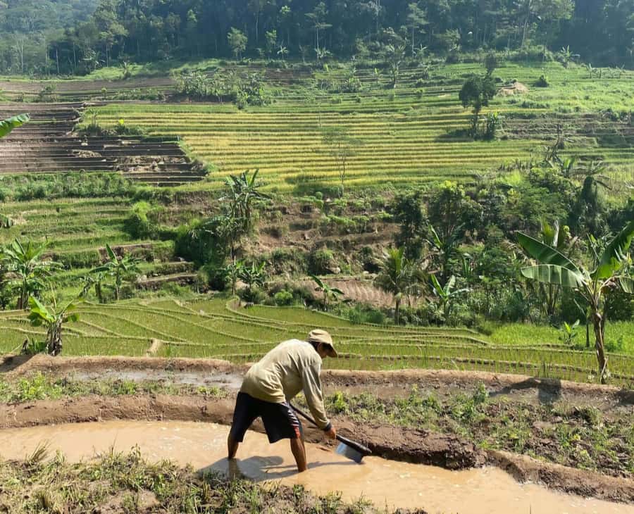 From Yogyakarta: Hidden Waterfall & Selogriyo Rice Terraces - The Trip to Kedung Kayang: When the Weather Changes the Story