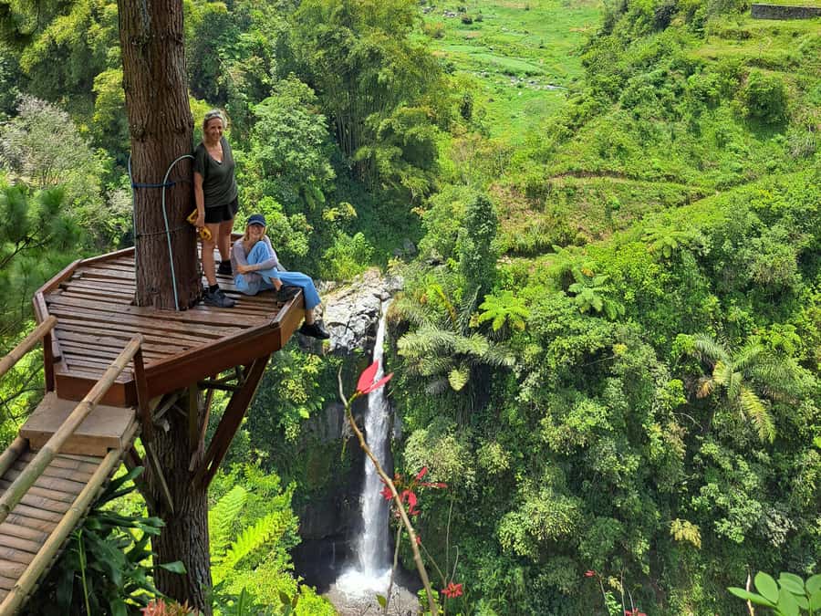 From Yogyakarta: Hidden Waterfall & Selogriyo Rice Terraces - Pickup, Vehicle Comfort, and the Pace You’ll Want