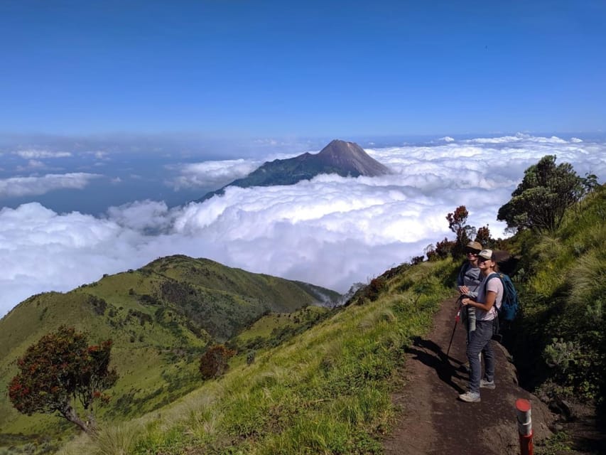 From Yogyakarta: Mount Merbabu One Day Hiking Tour - FAQ