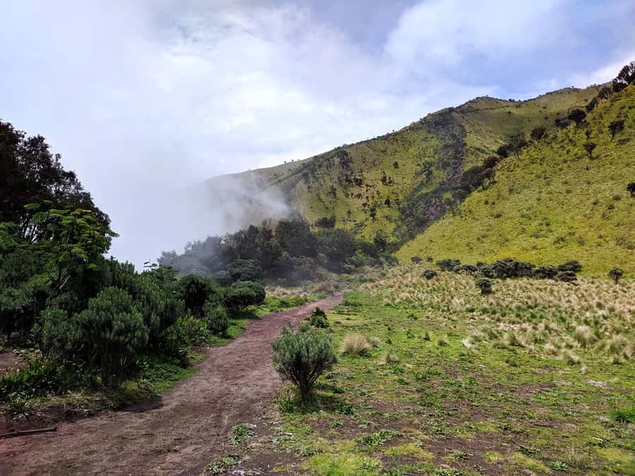 From Yogyakarta: Mount Merbabu One Day Hiking Tour - Price and logistics, plus what you pay separately