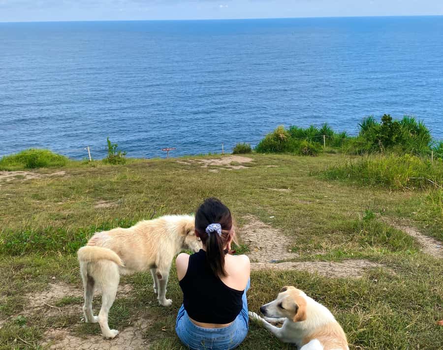 From Yogyakarta: Pengilon Hill and Hidden Beach - The 2-Hour Ride to Gunung Kidul: Road Trips That Teach You Something