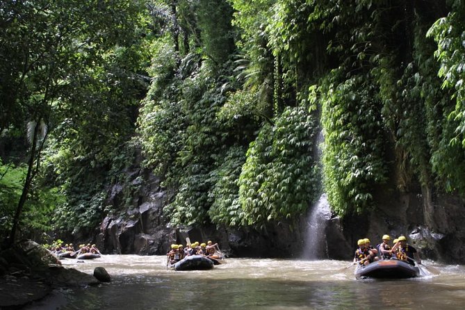 Full-Day Ayung River White Water Rafting and Ubud Tour - Sacred Monkey Forest Sanctuary: sacred temples plus wild macaques rules