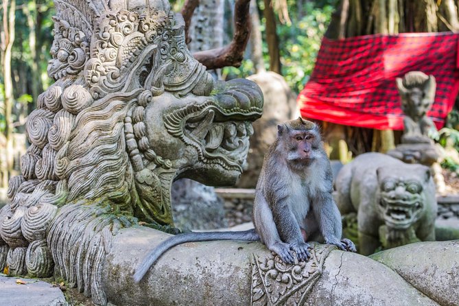Full-Day Ayung River White Water Rafting and Ubud Tour - Ubud Art Market and Ubud Palace: short, satisfying culture stops